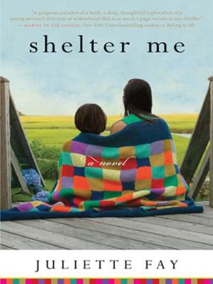Cover of the book Shelter Me by M. Chris Fabricant