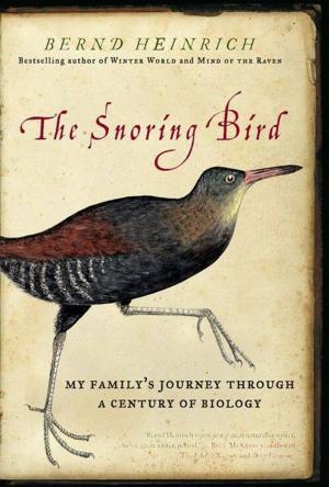 Cover of the book The Snoring Bird by Daniel Paisner, Judge Glenda Hatchett