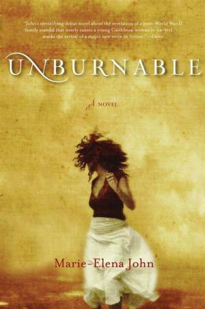 Cover of the book Unburnable by Sidney Sheldon