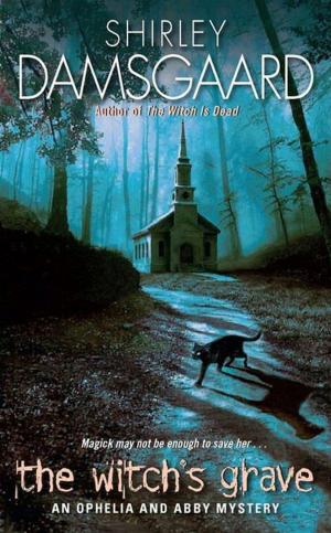 Cover of the book The Witch's Grave by Charles Gasparino