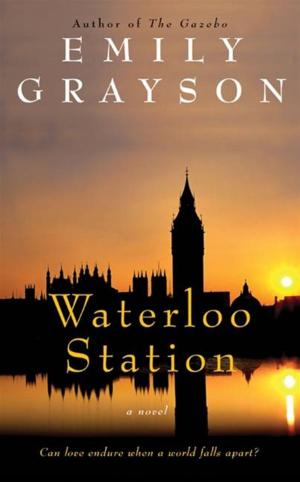 Cover of the book Waterloo Station by Bethanne Snodgrass M.D.