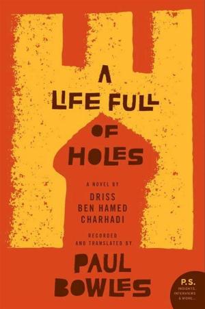 Cover of the book A Life Full of Holes by Scott Young