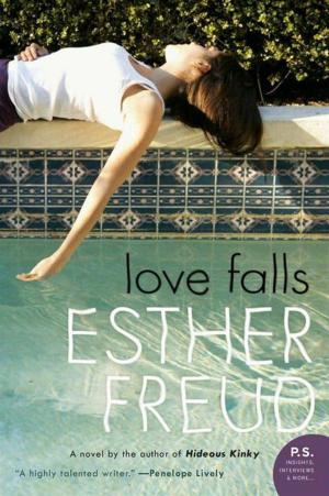 Cover of the book Love Falls by Steve Moore