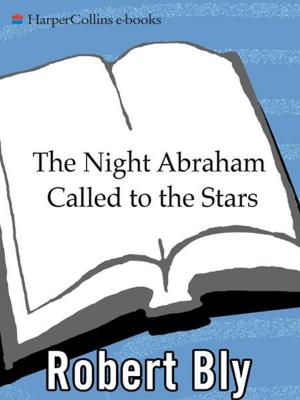 bigCover of the book The Night Abraham Called to the Stars by 