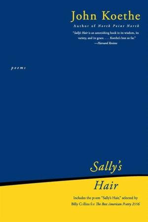 Cover of the book Sally's Hair by Barry Sears