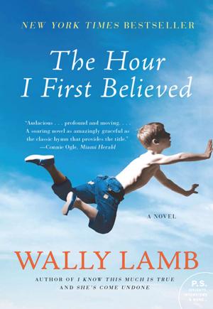 Cover of the book The Hour I First Believed by Nan Lu, Ellen Schaplowsky