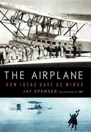 Cover of the book The Airplane by Loraine Despres