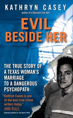 Cover of the book Evil Beside Her by Elizabeth Lowell