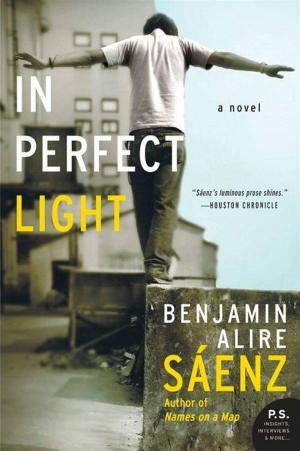 Cover of the book In Perfect Light by Lou Berney