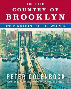 Cover of the book In the Country of Brooklyn by Patricia Gaffney