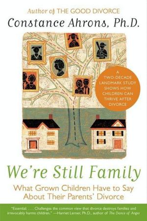 Cover of the book We're Still Family by Nan Lu, Ellen Schaplowsky