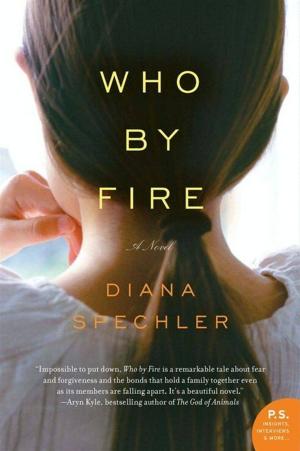 Cover of the book Who by Fire by Marie Simmons