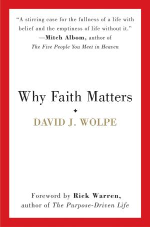 Cover of the book Why Faith Matters by Rabbi Shmuley Boteach