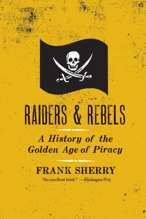 Cover of the book Raiders and Rebels by James Grippando