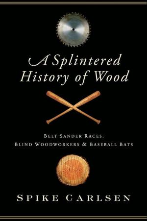 Cover of the book A Splintered History of Wood by Cynthia Kaplan