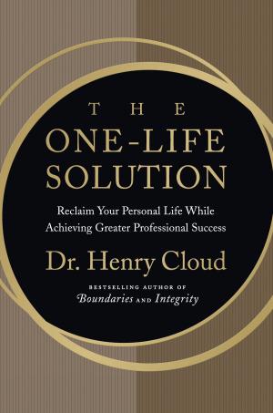 Cover of the book The One-Life Solution by Dan Hooper