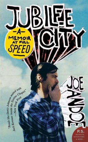 Book cover of Jubilee City