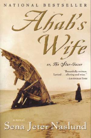 Cover of the book Ahab's Wife by Danielle Paige
