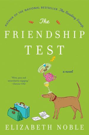 Cover of the book The Friendship Test by Jonis Agee