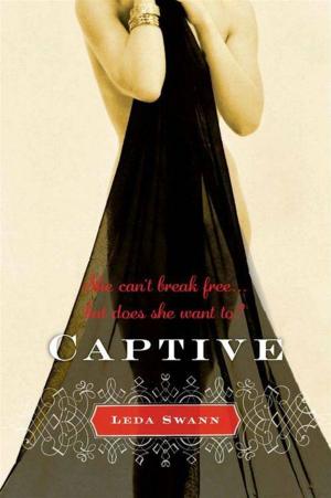 Cover of the book Captive by Meg Cabot