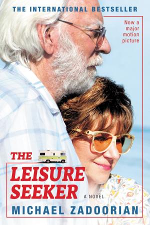 Book cover of The Leisure Seeker
