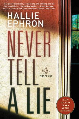 Cover of the book Never Tell a Lie by Scott Spencer