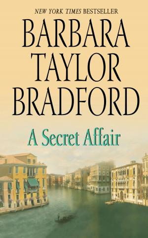 Cover of the book A Secret Affair by Barbara Mertz