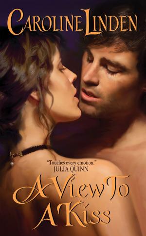 Cover of the book A View to a Kiss by Kathleen Gilles Seidel