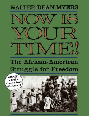 Cover of the book Now Is Your Time! by Jan Hinds