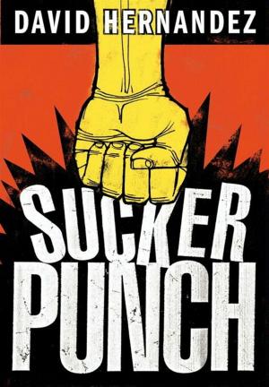 Cover of the book Suckerpunch by Isobel Bird