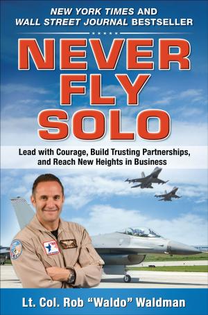 Cover of the book Never Fly Solo: Lead with Courage, Build Trusting Partnerships, and Reach New Heights in Business by Damian Brown