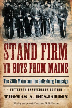 Cover of the book Stand Firm Ye Boys from Maine by Cathy Curtis