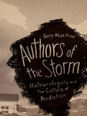 Cover of Authors of the Storm
