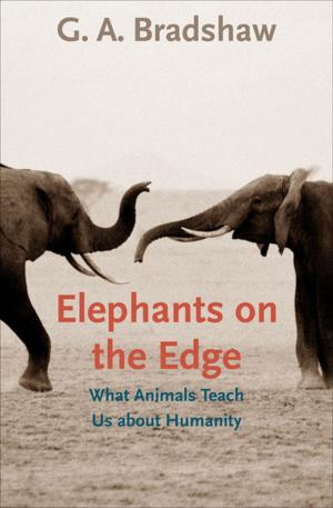Cover of the book Elephants on the Edge by Jason Tougaw