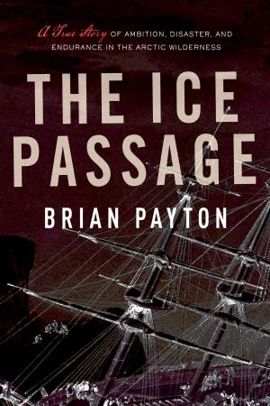 Cover of the book The Ice Passage by David Adams Richards