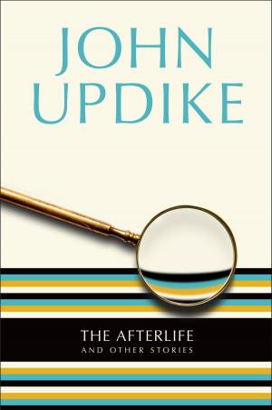 Book cover of The Afterlife