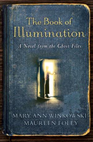 bigCover of the book The Book of Illumination by 