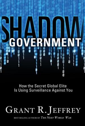 Book cover of Shadow Government
