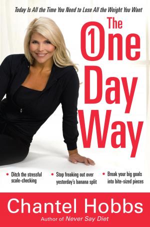 Cover of the book The One-Day Way by Stephen Arterburn, Kenny Luck, Todd Wendorff