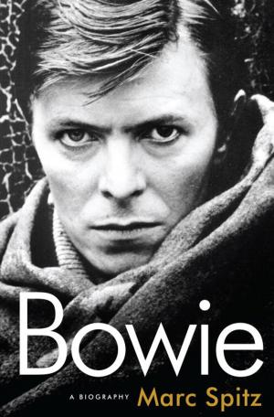 Cover of the book Bowie by Brian Abbey
