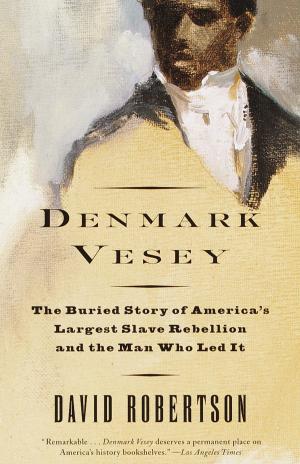 Cover of the book Denmark Vesey by Mark Z. Danielewski