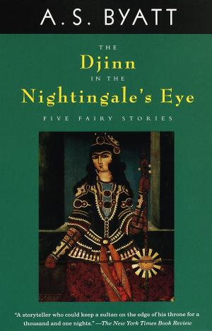 Book cover of The Djinn in the Nightingale's Eye