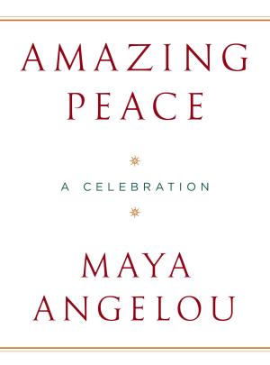 Cover of the book Amazing Peace by Linda Babcock, Sara Laschever