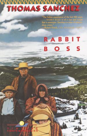 Cover of the book Rabbit Boss by Terry Pratchett, Ian Stewart, Jack Cohen