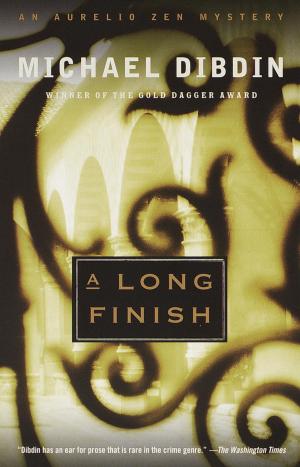 Cover of the book A Long Finish by Michelle Wan