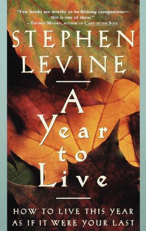 Book cover of A Year to Live