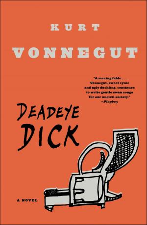 Cover of the book Deadeye Dick by Aaron David Miller