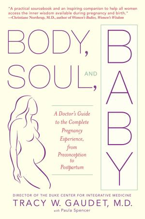 Cover of the book Body, Soul, and Baby by Iris Johansen