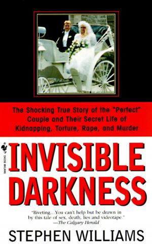 bigCover of the book Invisible Darkness by 