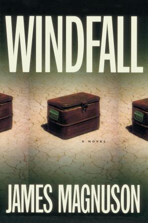Cover of the book Windfall by Susan Carroll